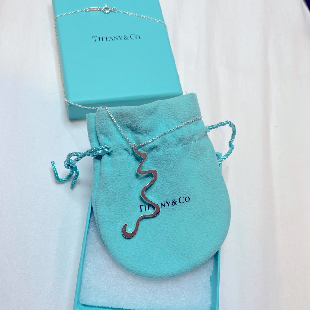 RARE Tiffany& Co. necklace. Authentic necklace from the Frank Gehry Collection.